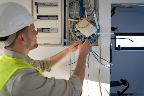 Best Electric Panel Repair  in Avoca, IA